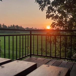 Village Mango Resort Yala